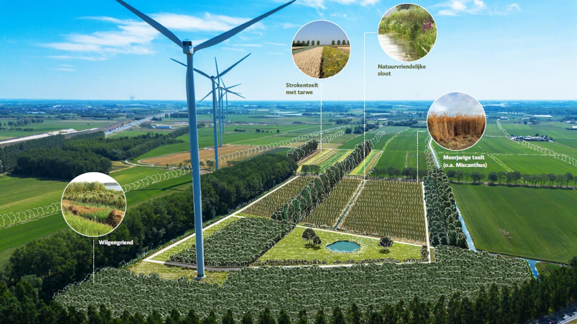 Bosakker Waardenburg: Betuwewind koopt 15,5 hectare landbouwgrond