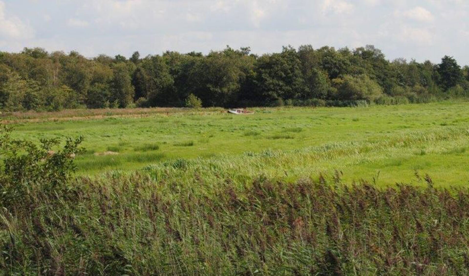 Zorgen in Wijdemeren over ernst bodemverontreiniging stortplaats Groenewoud