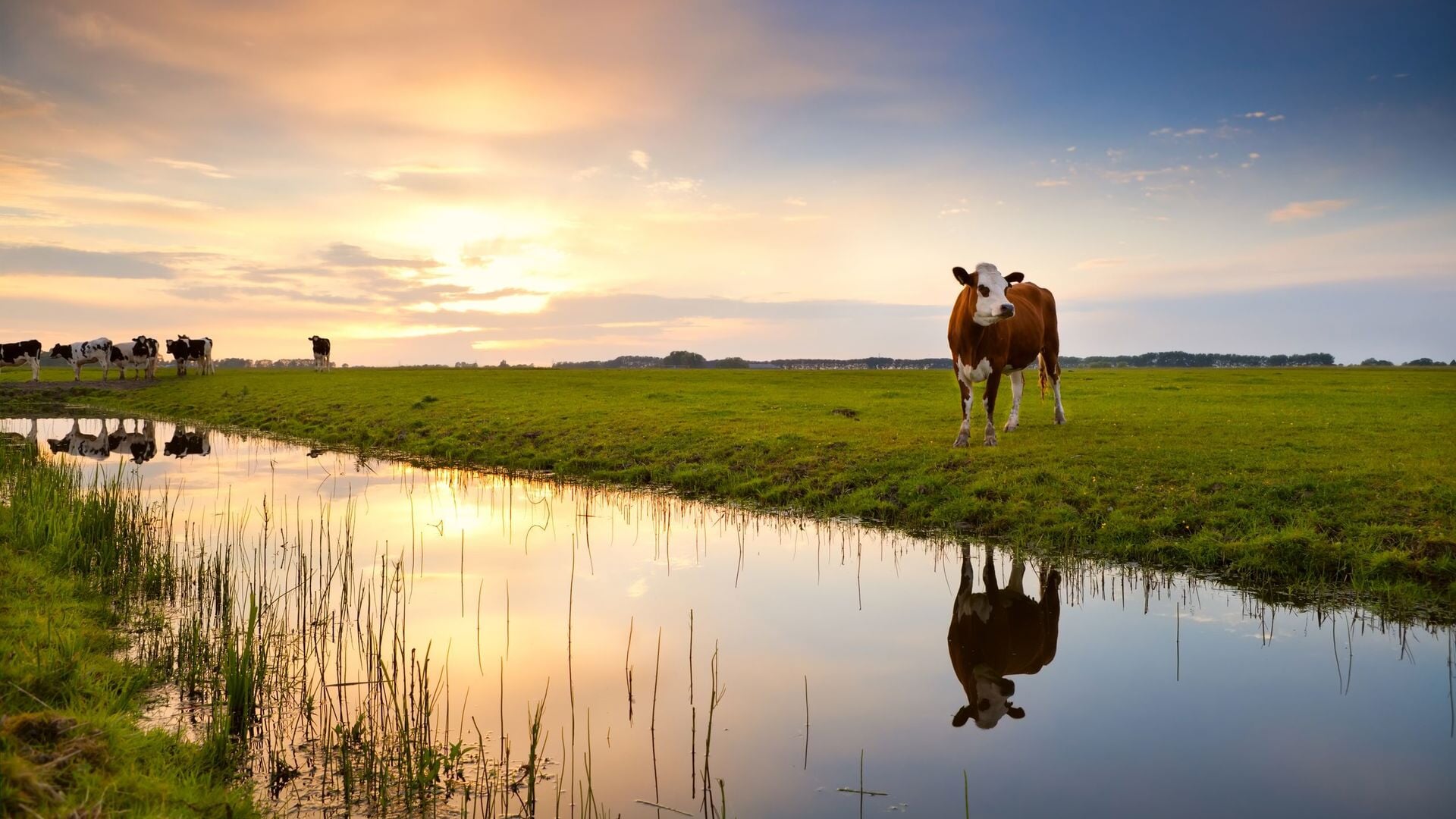 Controle op onderhoud watergangen door waterschap