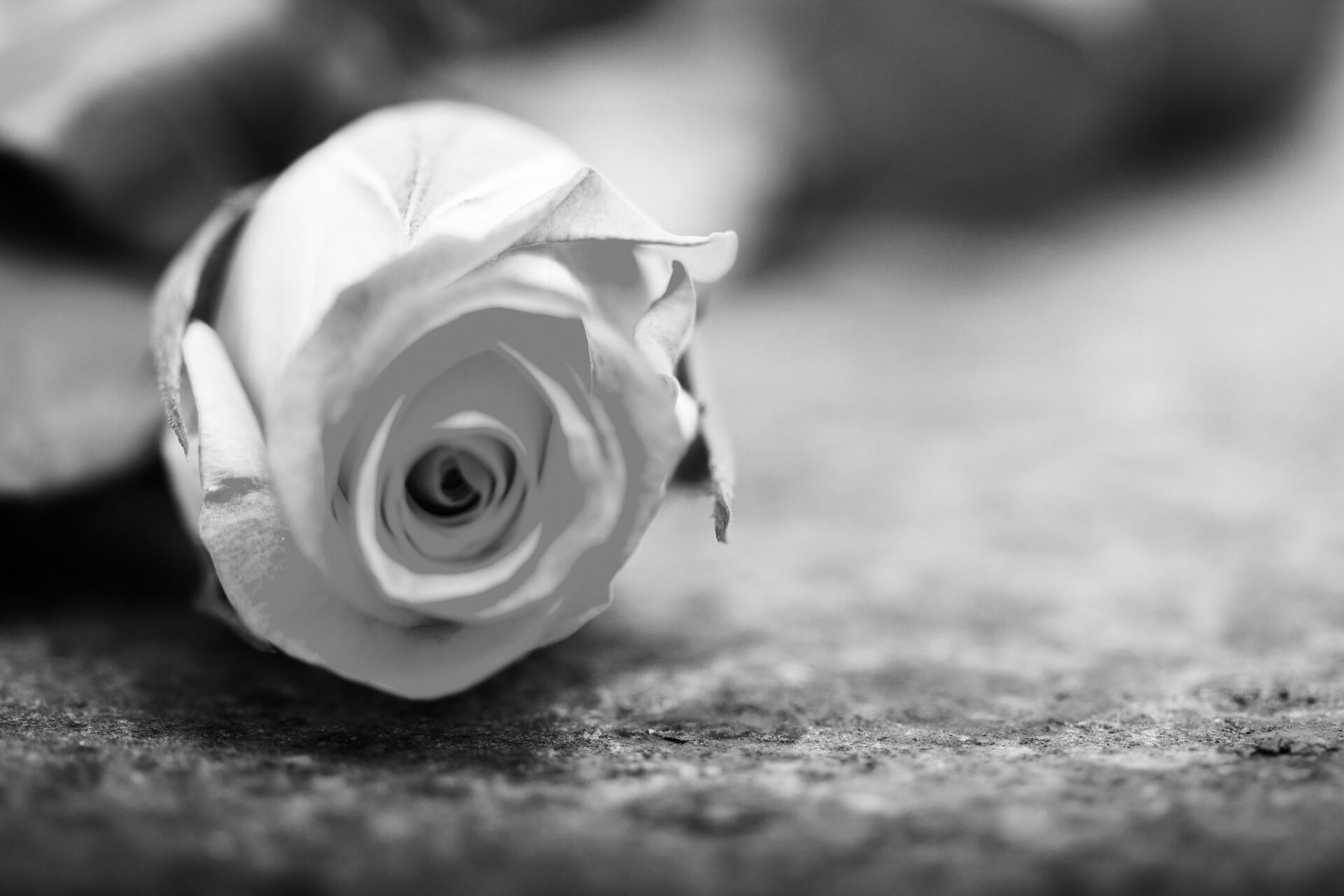 Rouw op Tafel: in gesprek over verlies
