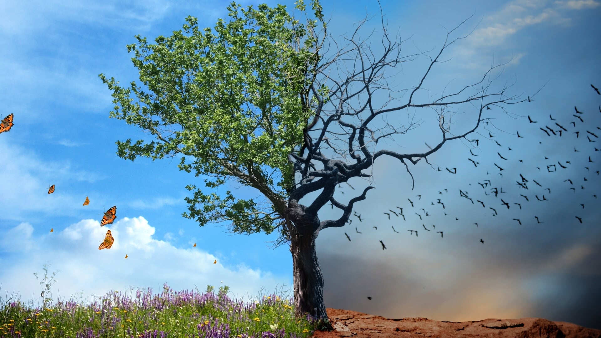 Klimaatfestival nieuw onderdeel van Klimaatweek Krimpen