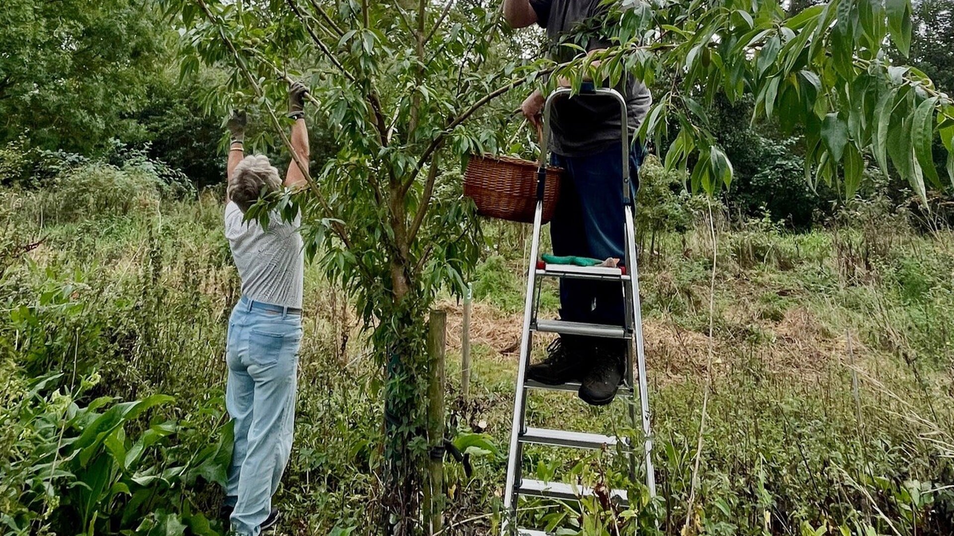 Samen werken in de natuur van Acquoy