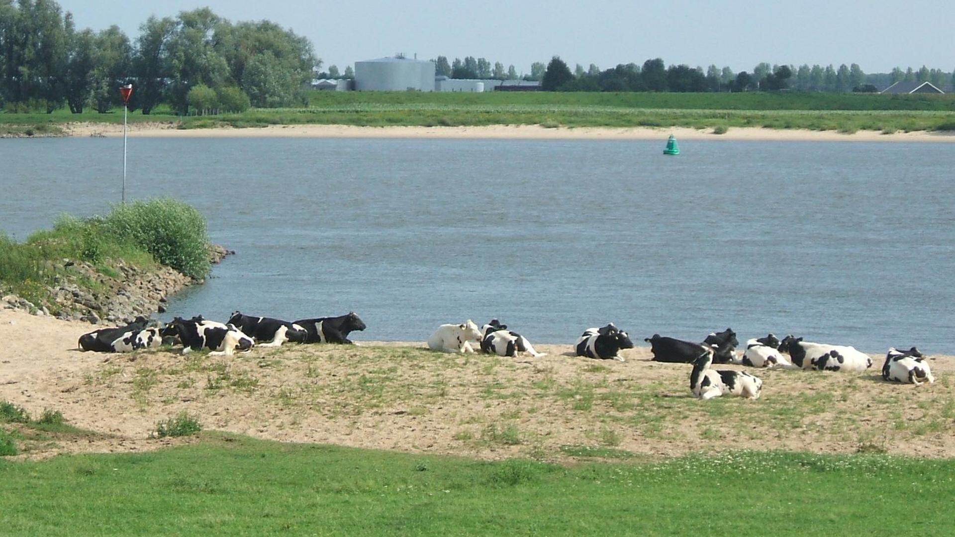 Themaconcert ‘Langs de Waal’