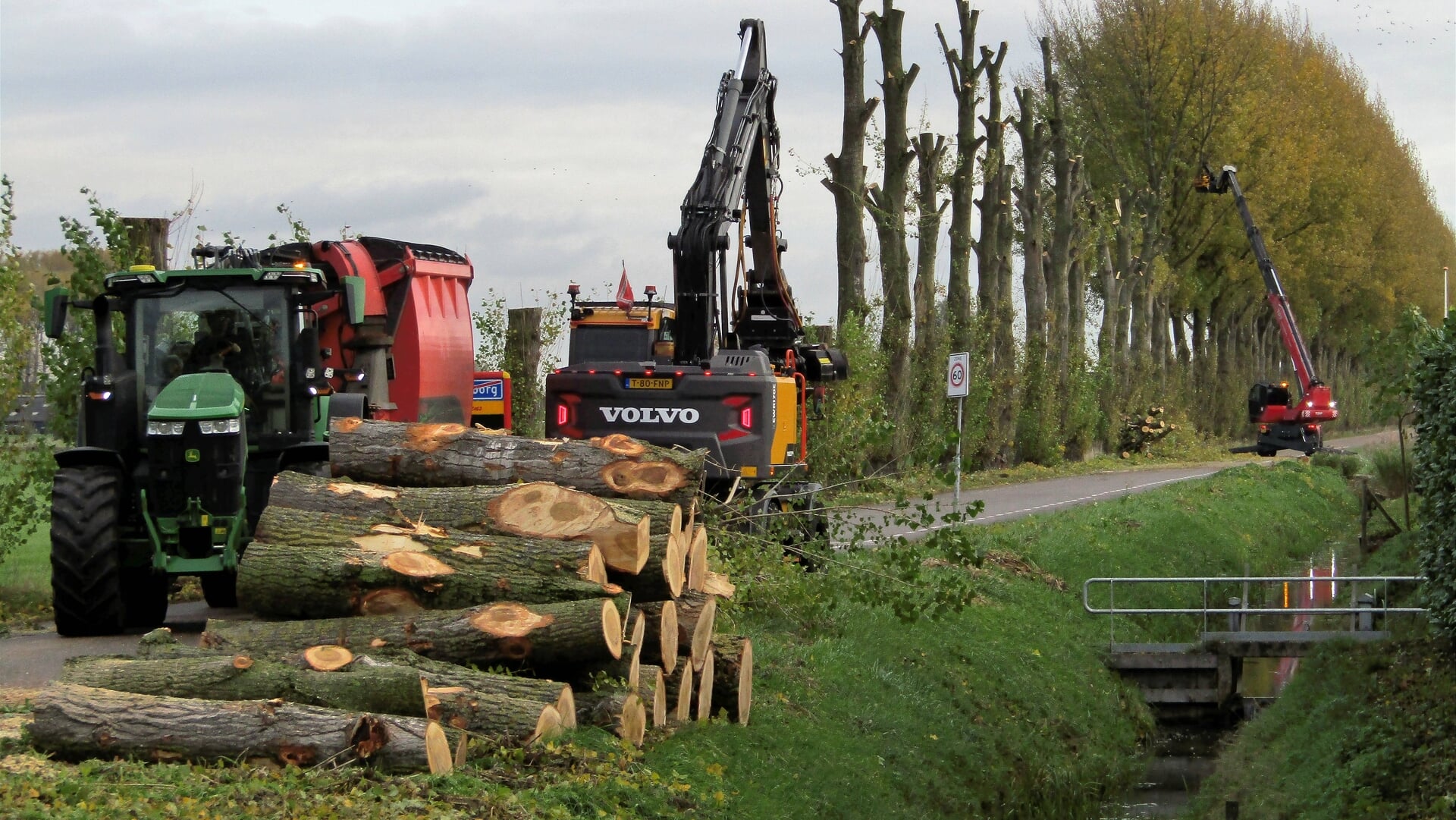 Partij voor de Dieren teleurgesteld over kap populieren Weidsteeg, vraagt om structureel bomenbeleid