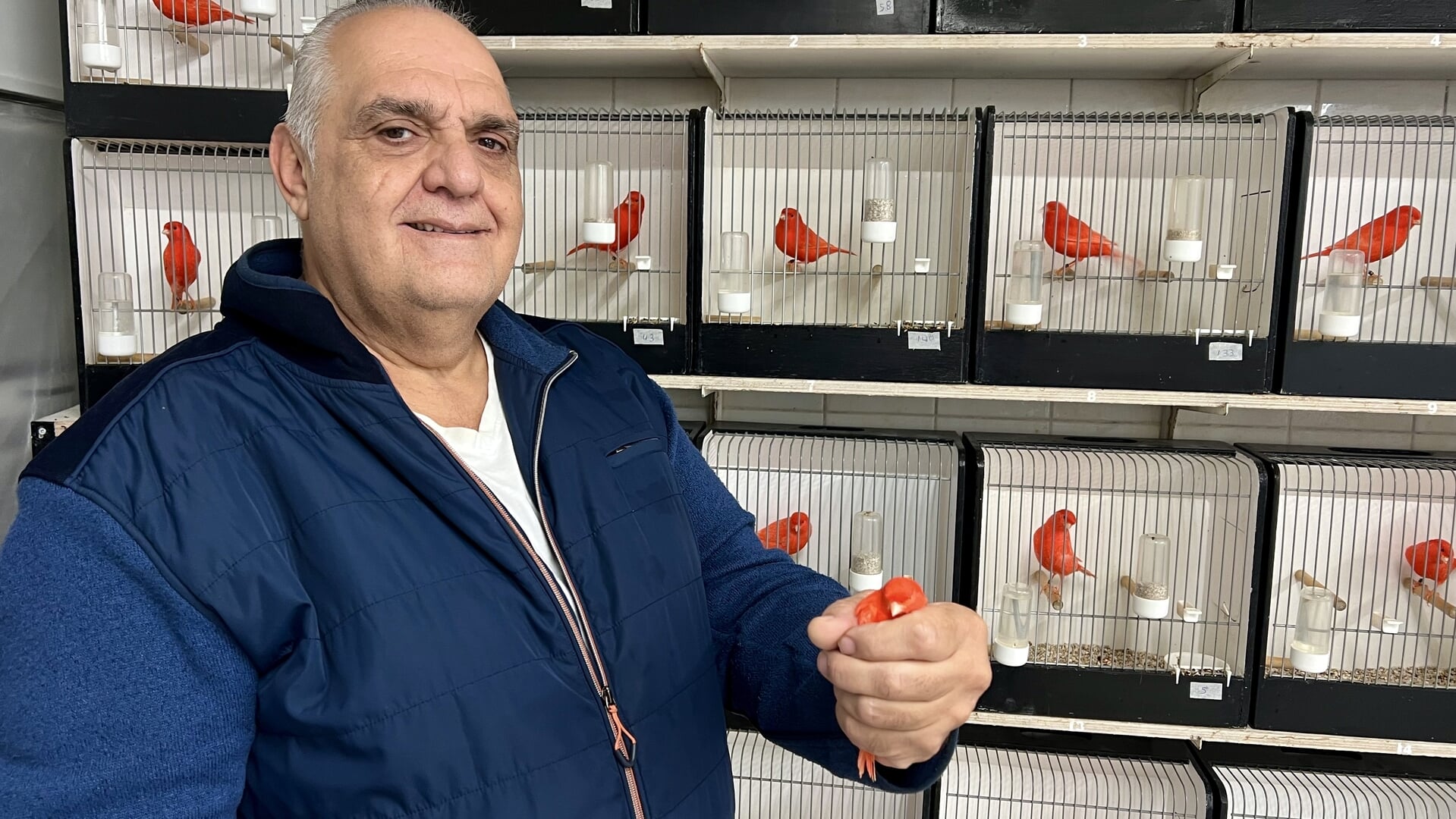 Tjirpconcert met 800 vogels in het dorpshuis van Meteren: kom je ook?