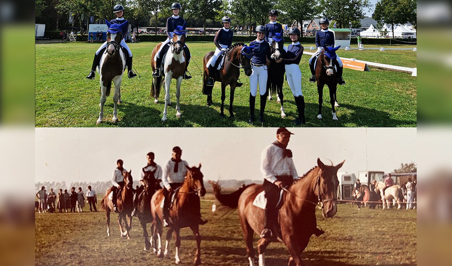 Paardensportvereniging Hippos Langenboom viert 90-jarig jubileum