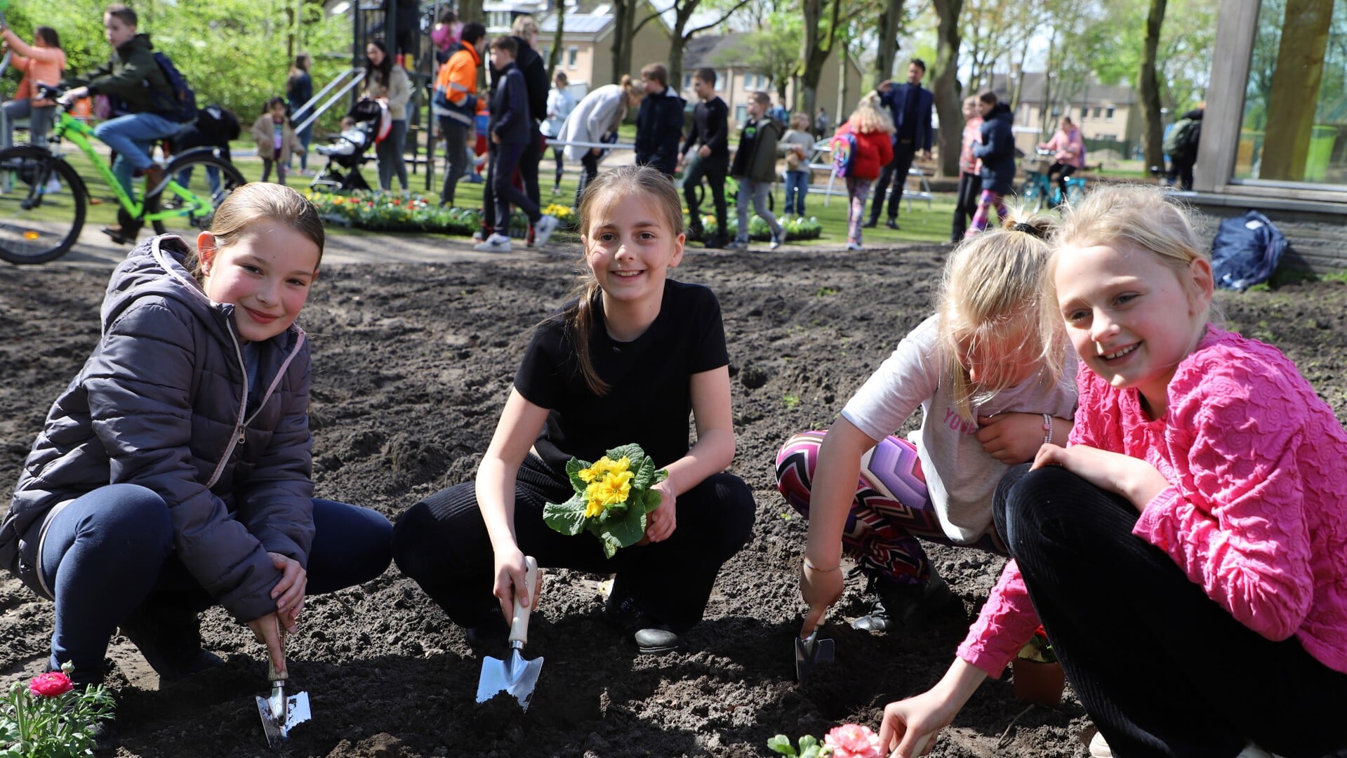 Natuurlijke facelift voor Groene Hart - Het nieuws uit Halsteren en de ...