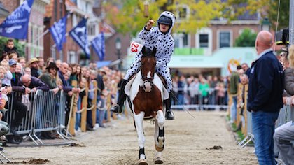 Beleef het vandaag: spektakel tijdens Paardenmarkt in Ameide - dit is het programma