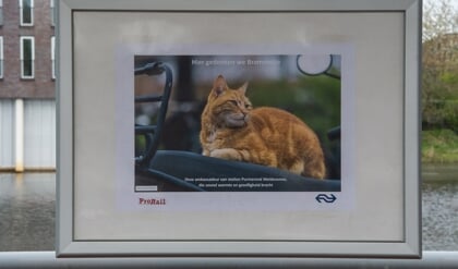 NS hangt schilderij op van Brammetje, maar komt er een bronzen beeld?