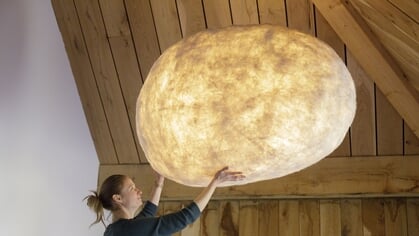 Kunst waar natuur en design samenkomen