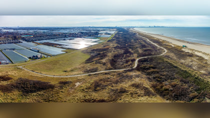Westland zet koers uit: 700 woningen per jaar, 3.000 extra plekken voor arbeidsmigranten en nieuw theater