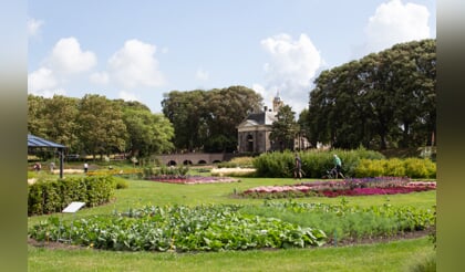 Ontdekkingstuin De Garden 2024