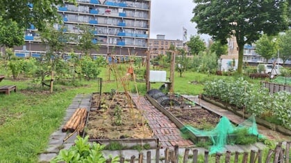 Edelstenenbuurt: het afvoerputje van Alphen naar verbindende rol in buurt en wijk