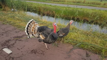 De omgeving in beeld gebracht
