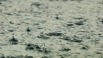 VVD bezorgd over vervuiling in Westlandse wateren
