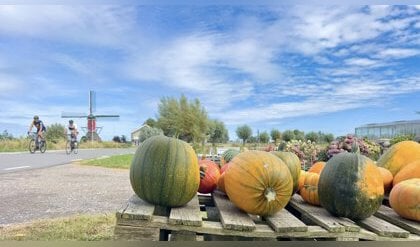 De omgeving in beeld gebracht