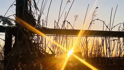 De omgeving in beeld gebracht
