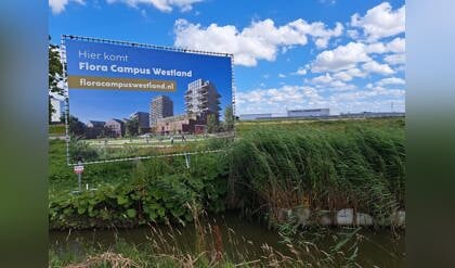 Westland investeert in wonen, sport, verkeer, onderwijs en speeltoestellen: dit is de begroting voor 2025