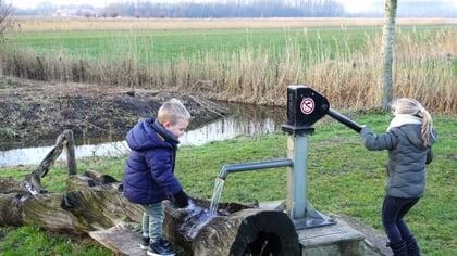 Ravotten op de Woeste Weide