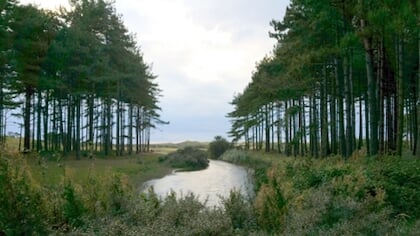 Natuurbrandrisico in Zeeland verhoogd naar ‘extra alert’