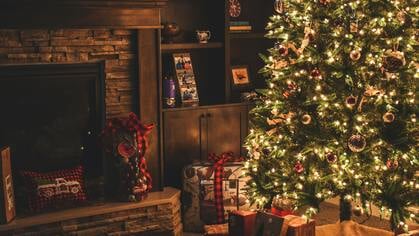 Zó kies je duurzaam: echte of neppe kerstboom?