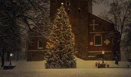 Kerstbomen inleveren in Gemeente Alphen aan den Rijn: dit zijn de locaties!