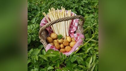 Op deze dag zijn de asperges weer verkrijgbaar bij BoereGoed