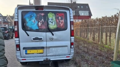 Schade aan groenstrook door geparkeerde auto’s