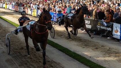 Dit is er dit weekend te doen in Purmerend en de Beemster