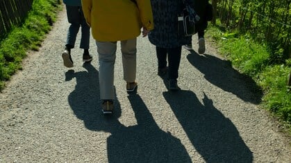 Avond4daagse Landsmeer: het programma en praktische tips