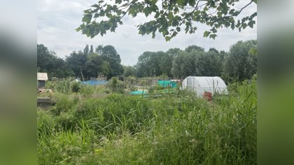 Volkstuinders Rivierweg vragen gemeente om antiklimhek na diefstallen