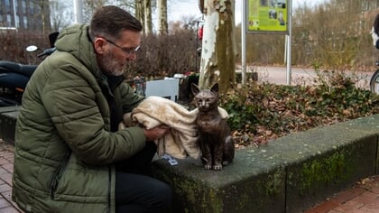 Brammetje met nieuwe verankering weer terug op zijn plek bij station Purmerend Weidevenne