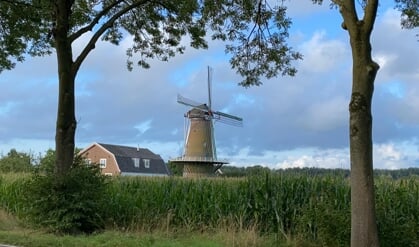 Molen Werkhoven stilgezet wegens ‘mogelijke problemen met de roeden’