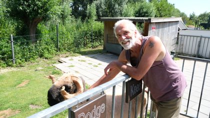 Een lama als welkomstcomité: kijkje achter de schermen bij Buurtboerderij Rooswijk