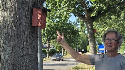 Na ophef over vogelhuisjes denkt gemeente Bergen mee aan oplossingen: ‘In overleg met meneer Kamp’