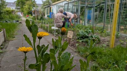 Burendag in de Buurttuin aan de Rameaustraat in Heemskerk: samen aan de slag
