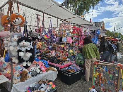 In beeld: Van Picasso-bloembollen tot drakenboten, Jaarmarkt Alphen trotseert de regen