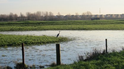 Hoe is het Noorderveld ontstaan? Historische Kring organiseert lezing met historicus Gerard Castricum