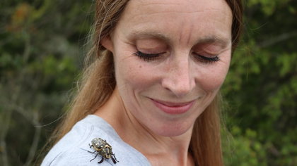 Insecten in hoofdrol bij bijzondere lezing in Museum BroekerVeiling