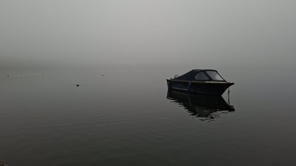 Dit zijn de mooiste foto’s van week 42