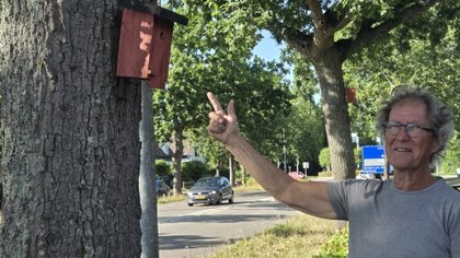Vogelhuisjes langs de Bergerweg mogen tóch blijven hangen: ‘Al veel genesteld, met broedsucces!’