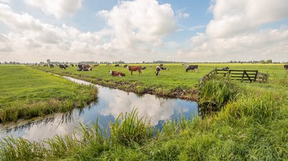 Nieuwe wandelroutes en een kijkje in de stal bij Boerenland Wandeltocht van ijsclub Kees Jongert