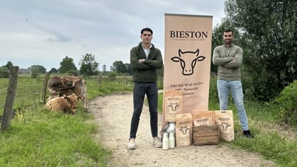 Bieston: de sleutel tot het behouden van vitaliteit