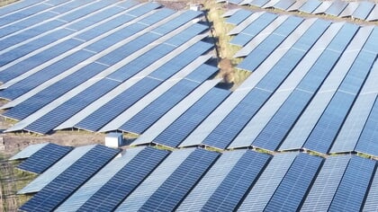Vergunning voor grootste zonnepark van Meierijstad in Olland