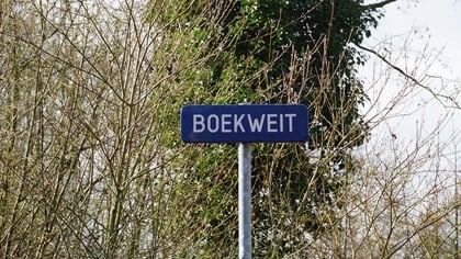 Aanvraag voor extra woonwagens in Sint-Oedenrode
