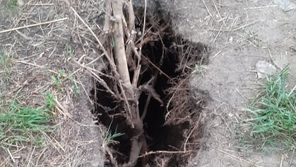 Sinkhole langs Rondje Rijsingen