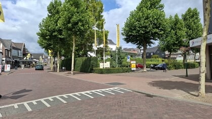 Wat vind jij: wel of geen haaientanden?