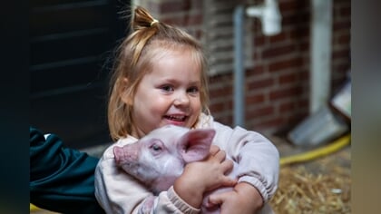 Publiek stroomt toe op Weekend van het Varken
