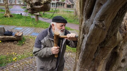 Theo Sonnemans