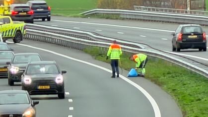 Hond aangereden op A50
